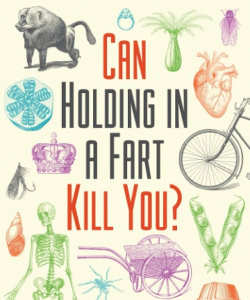 Kuriose Fragen und faszinierende Antworten